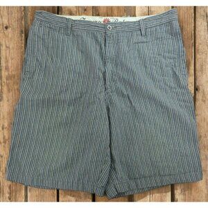 Tommy Bahama Mens Striped Cotton Shorts 35